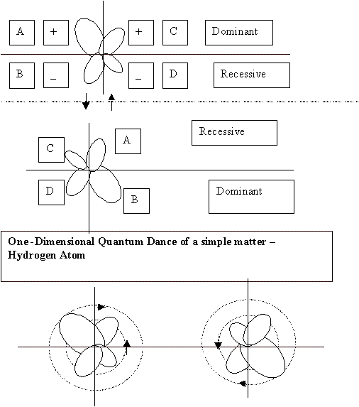 Quantum Matter Dance