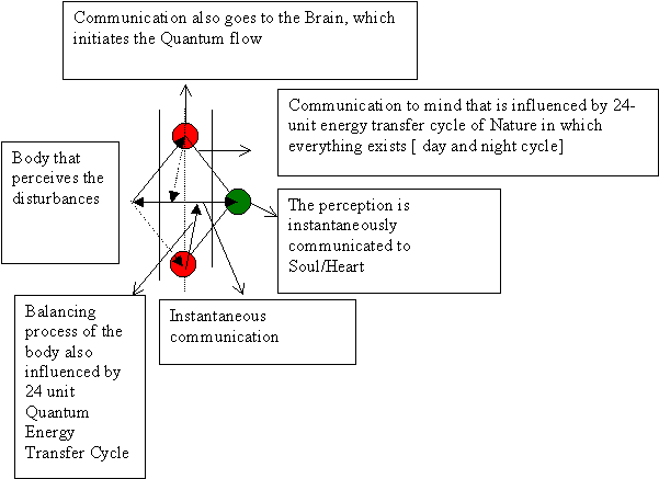 Information flow